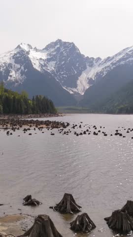 Stunning Landscape of Snow-Capped Mountains, Lake, and Exposed Tree Stumps in British Columbia