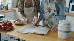 Senior grandmother in apron reading handwritten family recipe from book and explaining it to young granddaughter in cozy domestic kitchen - Powered by Shutterstock - Get 15% off with code: PIKWIZARD15