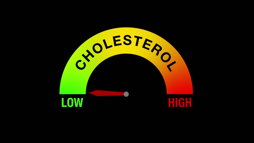Animation of a cholesterol level gauge displaying low, mid, and high levels, symbolizing health awareness.