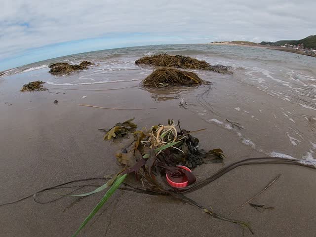 The Sea washes up A Orange Plastic Bottle Top then pulls it Back in. 