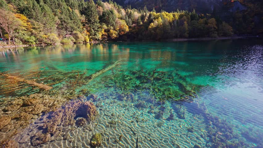 Autumn landscape in beautiful colorful nature scenic view at five flower lake in jiuzhaigou national park