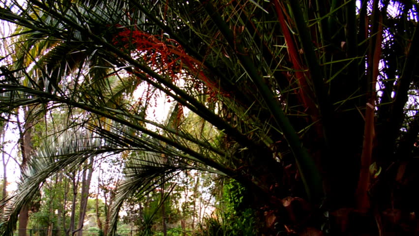 Beautiful water reflection in a park