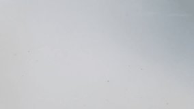 cereal flakes falling into milk, dynamic breakfast splash on white background - Powered by Shutterstock - Get 15% off with code: PIKWIZARD15