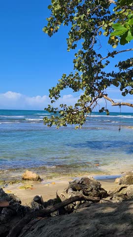 Vertical View of Beach on Costa Rican Coastline on Caribbean Sea