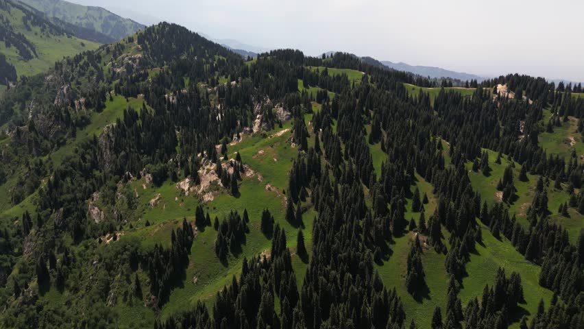 The gorge of Oi Karagai. Mountainous area with different vegetation. The Tian Shan Mountains. The view from the drone.