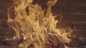 Close-Up of Fireplace and Outdoor Campfire Logs Burning Gently | Soft Crackling Fire Background in HD 120 FPS S-Log3 for Relaxing Visuals and Peaceful Loops - Powered by Shutterstock - Get 15% off with code: PIKWIZARD15