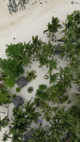 Aerial view of huts and palm trees, Philippines.