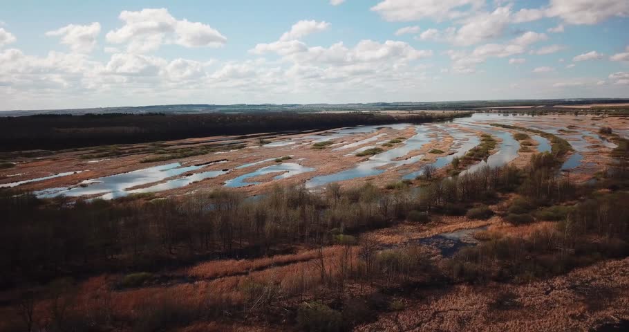 mountainous river bank in spring