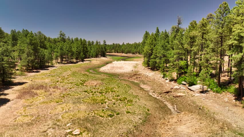 Aerial view of Willow Springs Lake, United States.