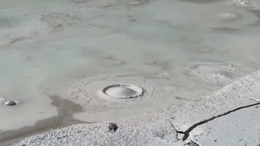 Bubbling mudpot pool of hot splashing mud on the Artists Paintpots Trail in Yellowstone National Park. 
