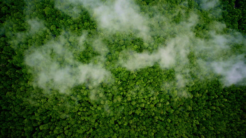 Fog and mist swirl over the Great Smoky Mountains in this drone shot.