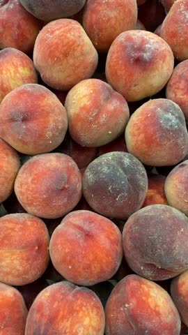 Fresh peaches stacked closely for market sale, showcasing natural textures and vibrant colors video