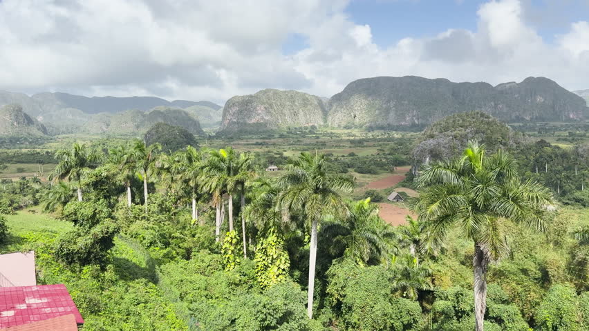 A lush landscape at Vinales National Park, Cuba  with palm trees and mountains, under a bright sky with a few clouds, tc01