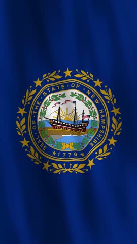 New Hampshire flag representing state patriotism and history