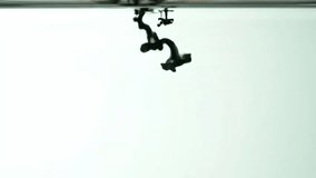 plume of black ink forming intricate tendrils as it diffuses in clear water against a white background. - Powered by Shutterstock - Get 15% off with code: PIKWIZARD15