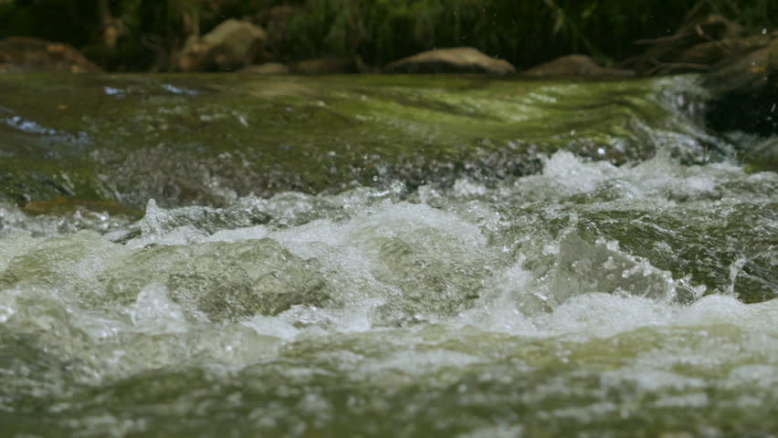 Water Clear Stream River Flowing in Deep Forest. Clear River Running Through Stone Boulders. Wild Mountain River Water Splashing in Summer Day. Abundant creek flowing in nature underwater bubbles.	