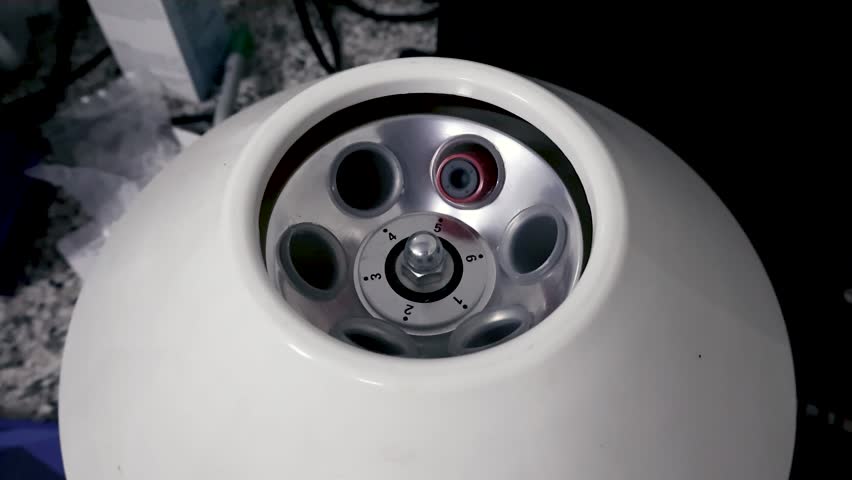 Shutterstock Video