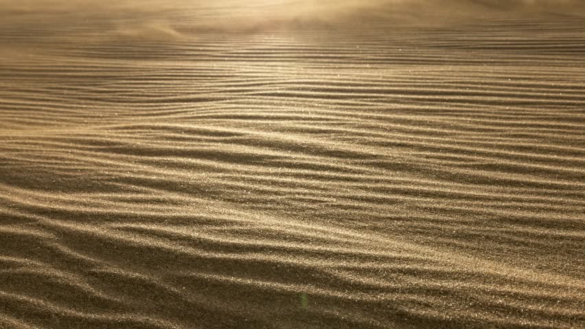 Sand waving in the wind in dunes in desert. Macro shot of sand particles blown away by the wind. Grains of sand waving in the wind during sandstorm