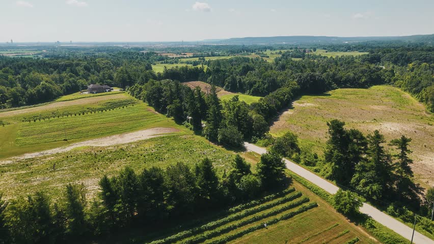 Aerial drone footage over Ontario Greenbelt farming fields, showcasing lush rural landscapes and crop patterns Ideal for agriculture, sustainability, and nature projects