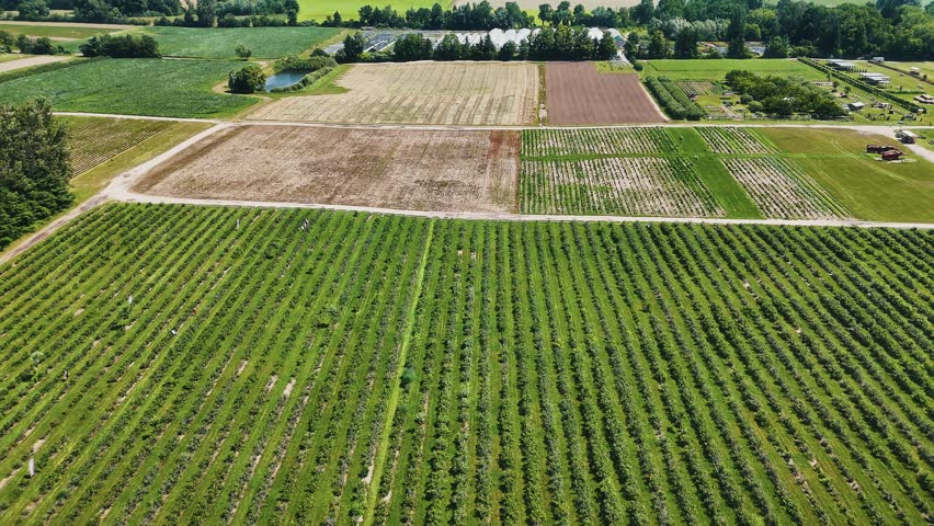 Aerial drone footage over Ontario Greenbelt farming fields, showcasing lush rural landscapes and crop patterns Ideal for agriculture, sustainability, and nature projects