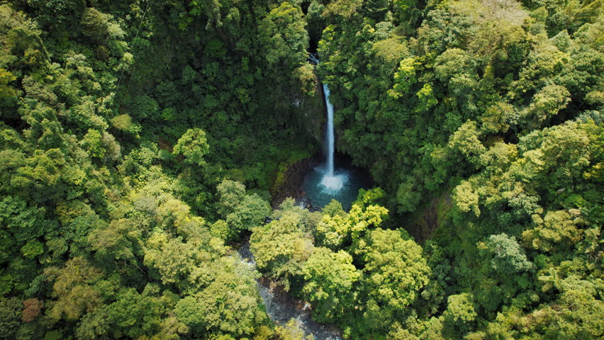 Tall jungle waterfall plunges into a hidden pool in Costa Rica rainforest