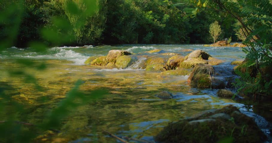 Shallow clear Cetina river flowing over mossy rocks in forested area of Croatia