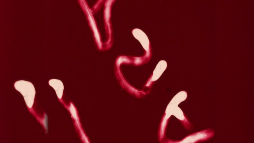 Universal Countdown Leader, Picture Start. 4K scan of widescreen, 16x9 format. Monochromatic Countdown from 8 to 2.  Retro Red Tint Countdown from 8 to 2. Authentic Vintage Archival Motion Picture