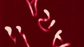 Universal Countdown Leader, Picture Start. 4K scan of widescreen, 16x9 format. Monochromatic Countdown from 8 to 2.  Retro Red Tint Countdown from 8 to 2. Authentic Vintage Archival Motion Picture - Powered by Shutterstock - Get 15% off with code: PIKWIZARD15