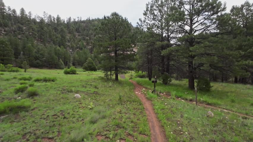 Walnut Canyon, AZ | Near Flagstaff