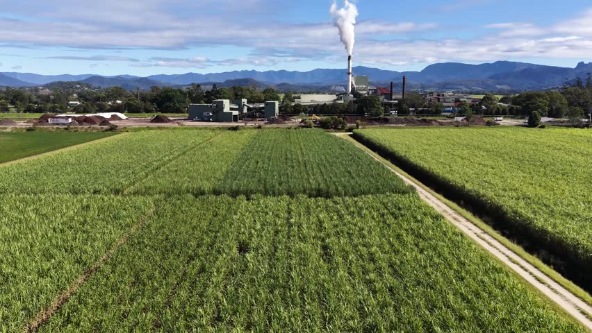 Drone footage captures a sugar mill surrounded by lush fields under clear skies in Murwillumbah, NSW, Australia