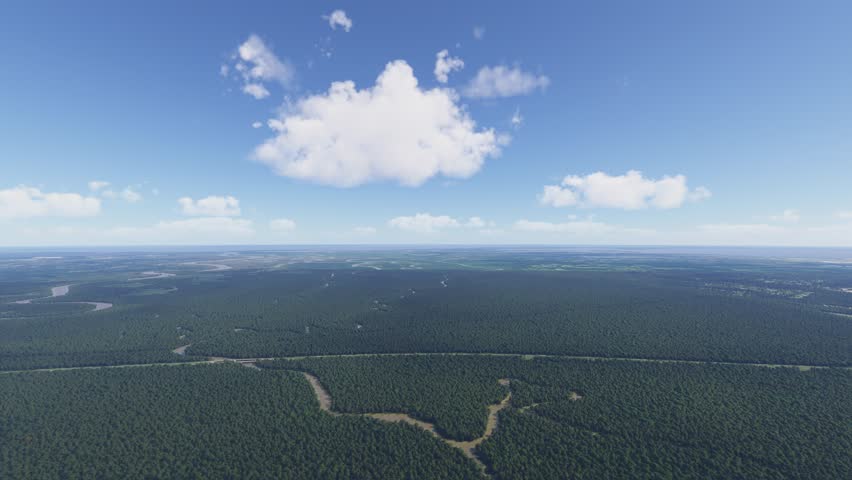 3D - Drone aerial shot of Pearl River Wildlife Management Area in Slidell. Louisiana. United States