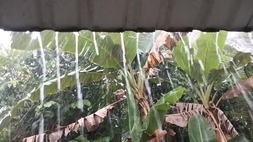 rain drop from roof with roff, tree and sky frame and real sound