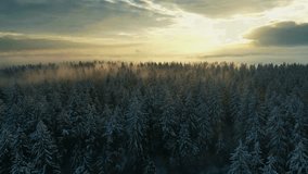 snow covered forest, winter drone footage, sunrise forest view, cinematic pine trees, tranquil aerial scene, 4K, drone, winter, forest, nature, sunrise, mist, snow, cinematic, aerial, pine, cold - Powered by Shutterstock - Get 15% off with code: PIKWIZARD15