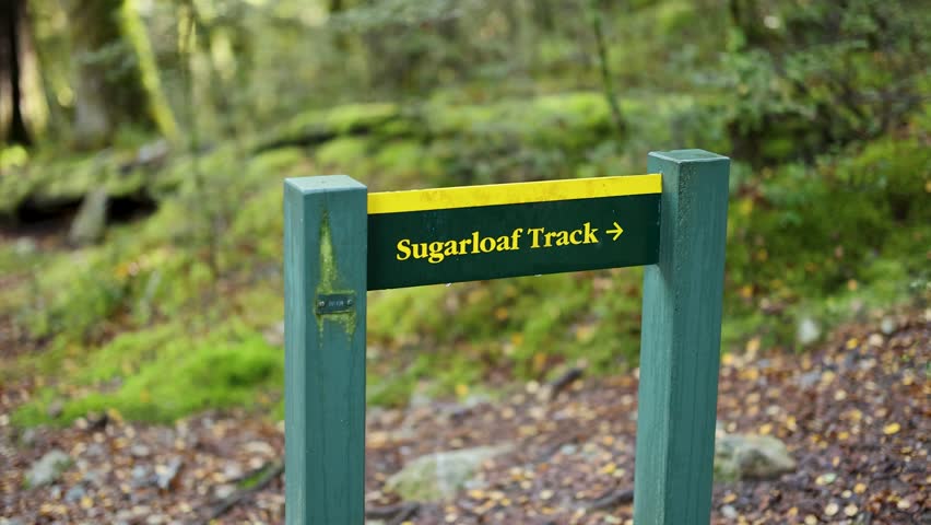 Camera moves steadily toward a green Sugarloaf Track signpost along a mossy rainforest trail, with soft natural daylight and shallow depth of field
