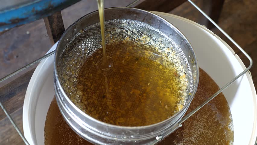 Honey from the honey extractor flows into a vessel through a sieve. Beekeeper's work. Honey production.