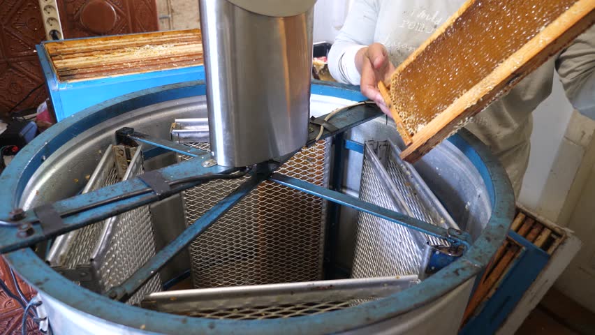 Honey from the honey extractor flows into a vessel through a sieve. Beekeeper's work. Honey production.