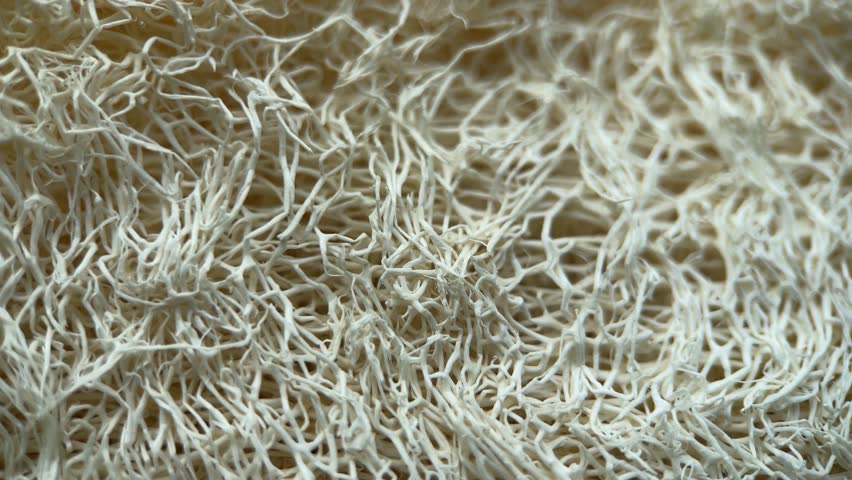 Natural Luffa Macro Background, Slider Shot