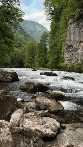 Mountain River Flowing Through Lush Green Forest