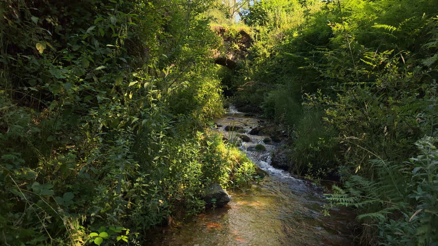 Idyllic landscape of an Ancient bridge over a stream in Pradoluengo, Burgos Spain., Spain. Nature landscape, rural tourism. High quality 4k footage