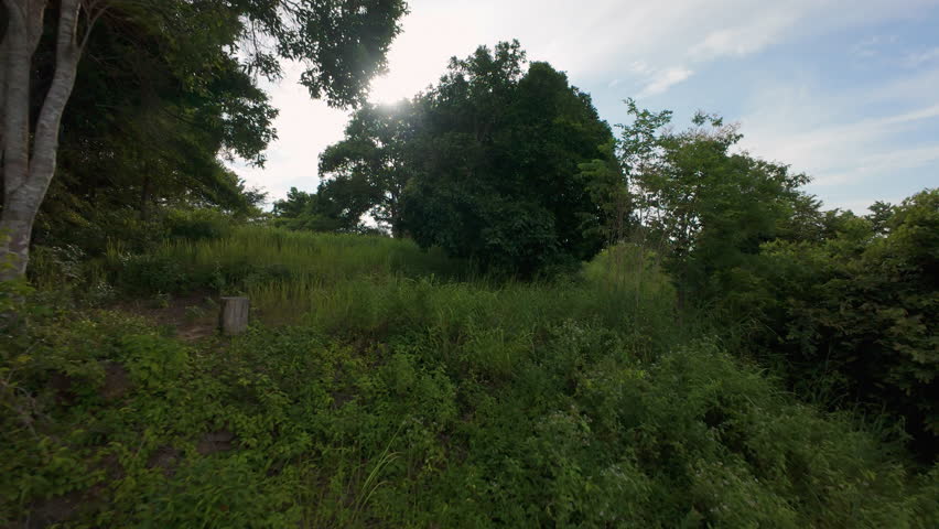 Elevated Dirt Trail through Jungle Overlooking Coastal Town and Ocean under Cloudy Sky in Tilted Wide Angle Representing Adventure Tourism Concept.