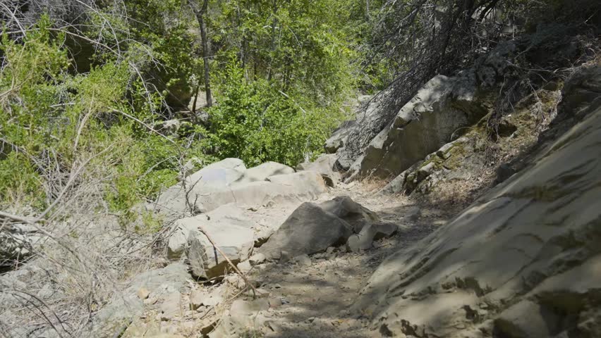 A dry dirt trail cuts through rocky slopes and thick vegetation, surrounded by sun-drenched boulders and lush green undergrowth.