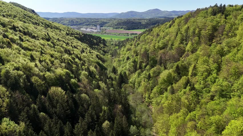 Aerial view of lush green valley, Slovakia.