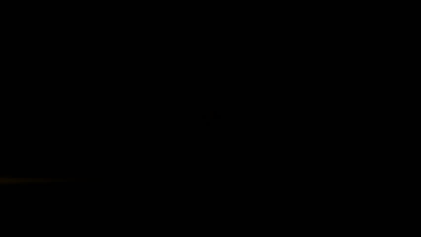 Shutterstock Video