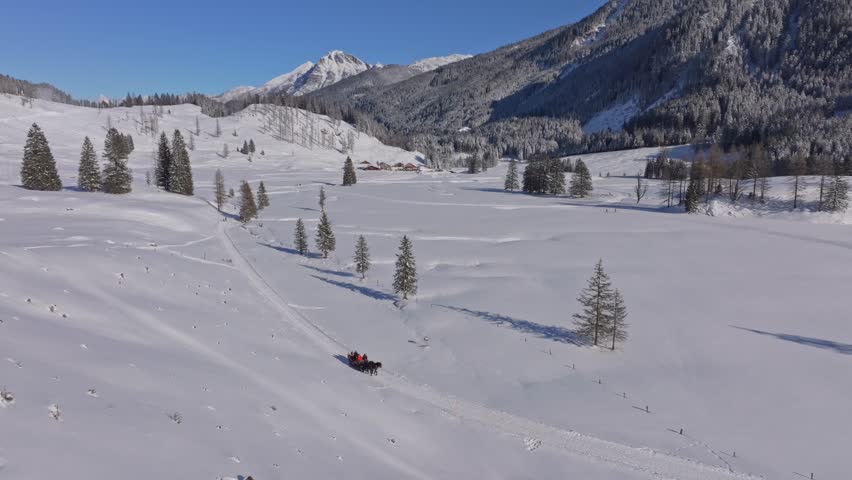Aerial view of horses pulling a sleigh on white Austrian countryside
