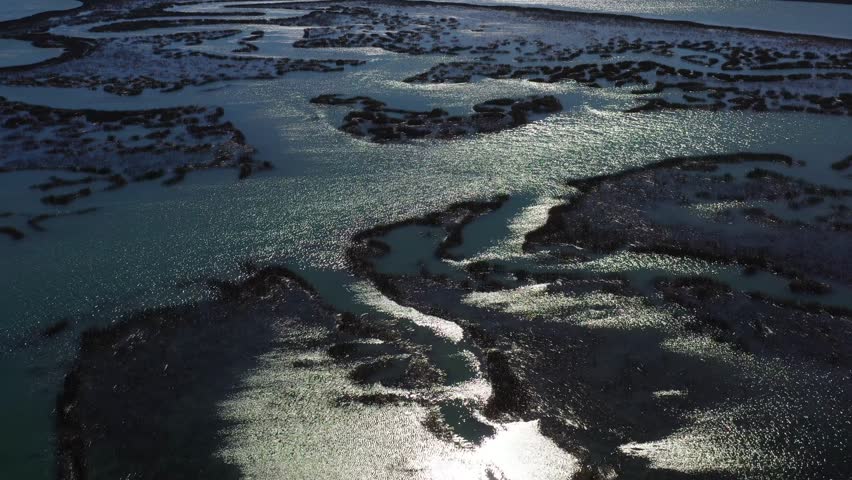 Natural Salt water tidal marsh on South Carolina beach coastline Murrells Inlet known for seafood restaurants and summer vacation destination for families and fisherman
