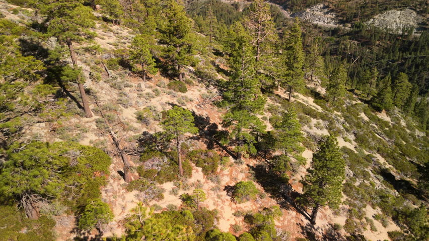 Zooming in toward the arid summer landscape on the Nevada side of Lake Tahoe, revealing pine-covered slopes and distant farmland.