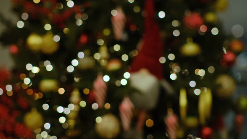 A Christmas tree with many ornaments on it. The tree is lit up. There is a gnome on the tree