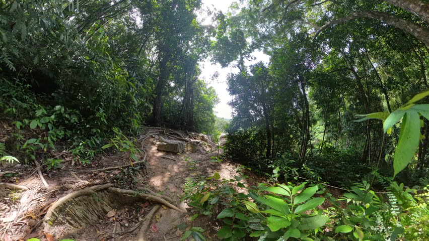 Person steps onto large rock at the edge of a cliff surrounded by dense jungle with distant hills under bright sky, Overlook View Concept.