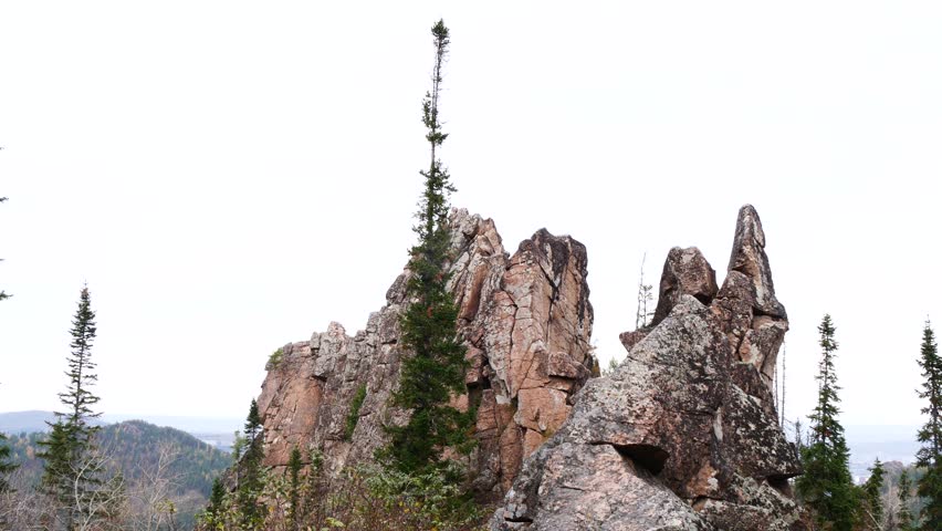 Fir trees against the backdrop of huge, harsh rocks on a cloudy autumn day.