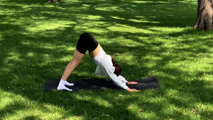 Woman female girl practicing yoga on mat in park downward facing dog bakasana crow pose upward dog sequence balance strength flexible outdoor female workout exercise nature training sport wellness